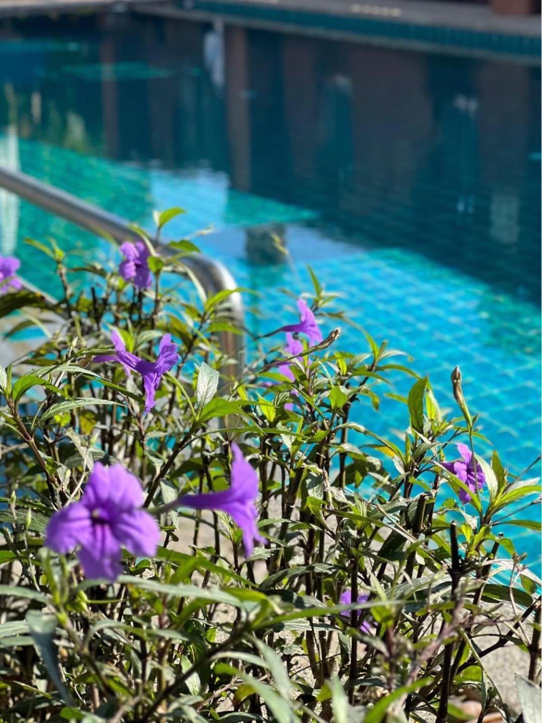 Pattara Mansion พัทยา Hotel Pattaya Exterior photo